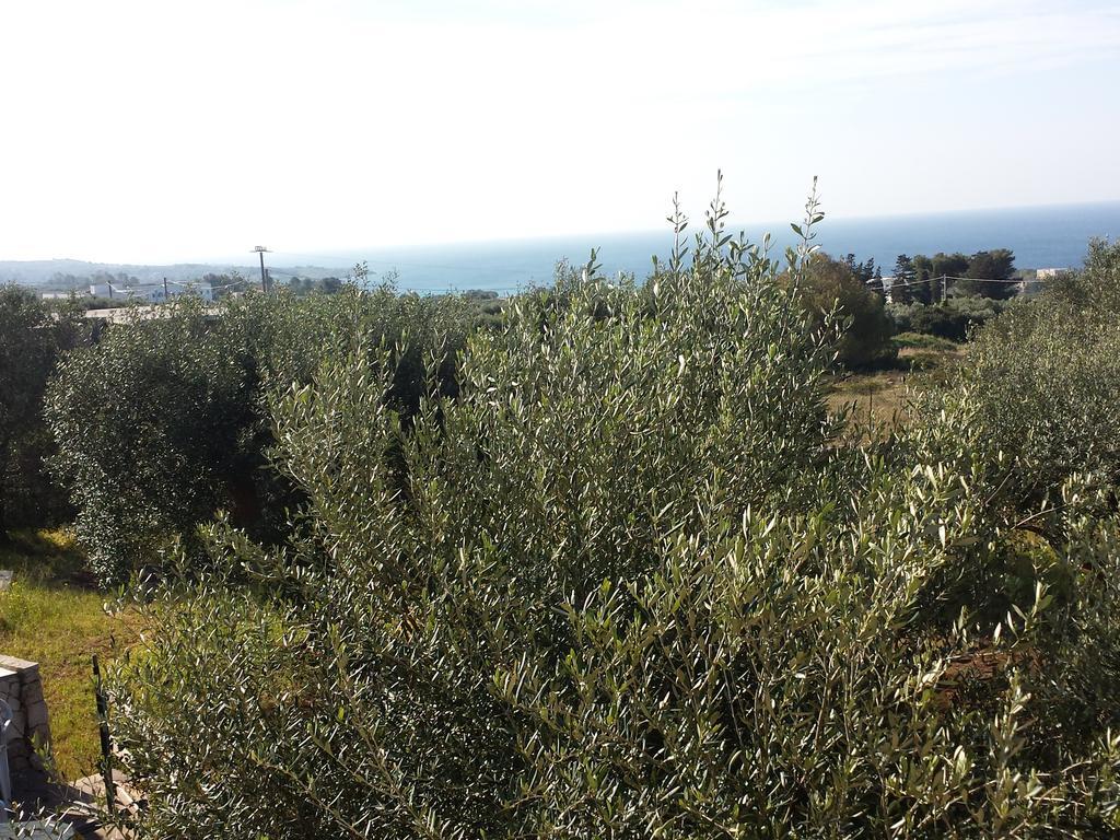 Villa Minteco Patù Exteriér fotografie