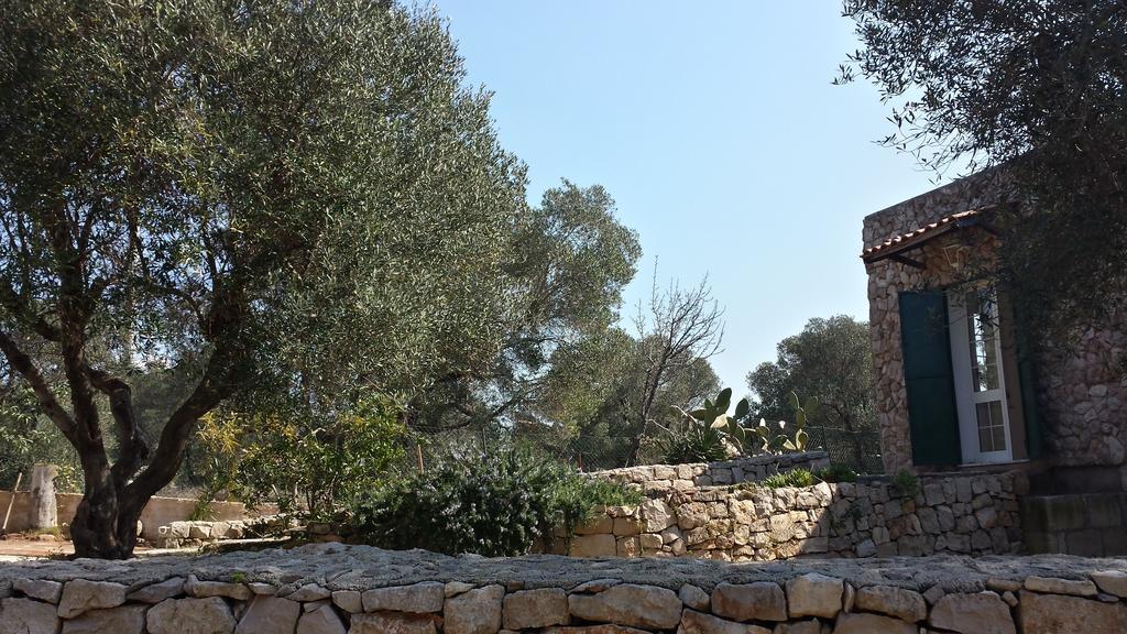 Villa Minteco Patù Pokoj fotografie