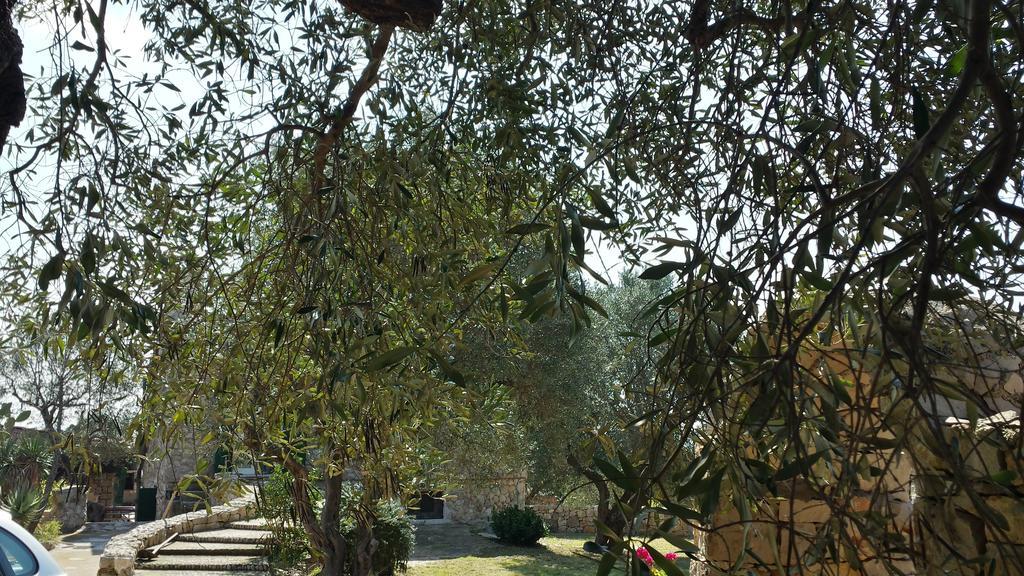 Villa Minteco Patù Exteriér fotografie