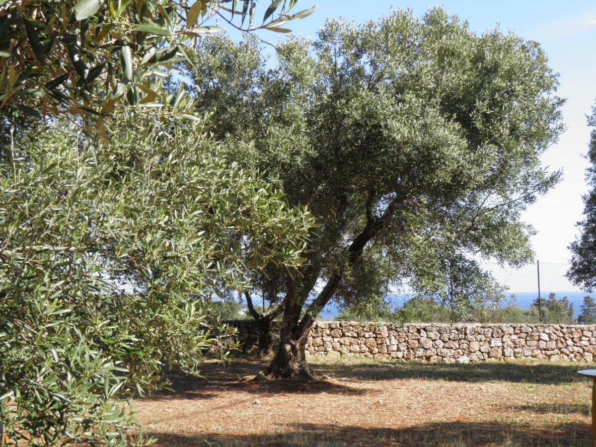 Villa Minteco Patù Exteriér fotografie