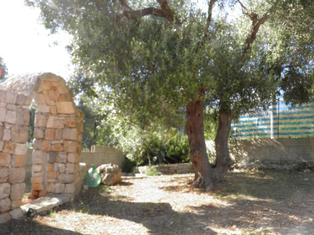 Villa Minteco Patù Exteriér fotografie