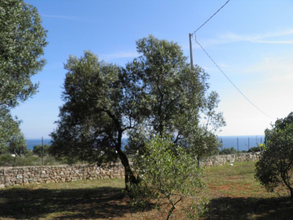 Villa Minteco Patù Exteriér fotografie